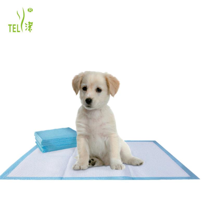 Disposable dog training pads